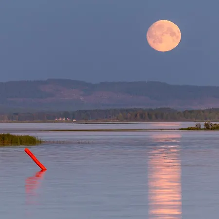 Hotel Mestarin Kievari 3*