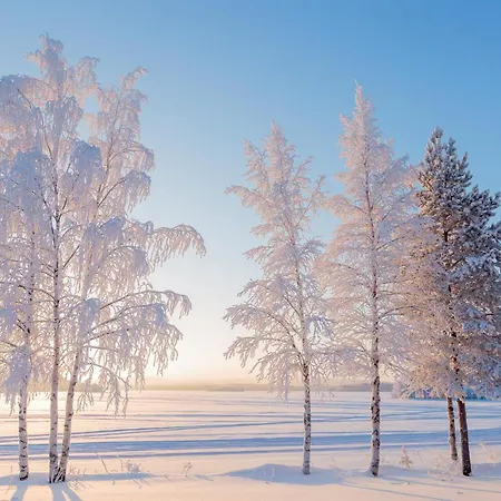 Hotell Mestarin Kievari Kemijärvi