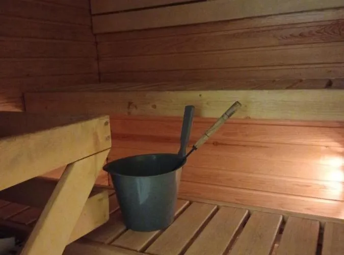 ホテル Mestarin Kievari Kemijärvi