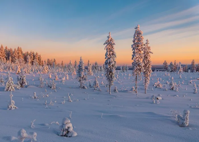 Mestarin Kievari ホテル