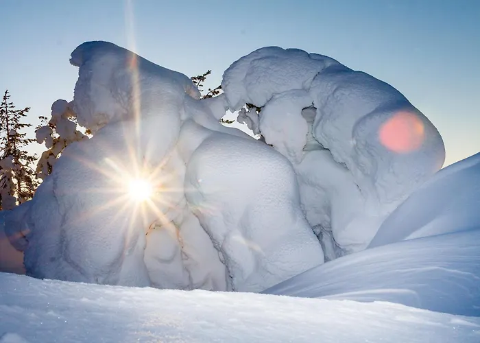 Mestarin Kievari ホテル 3*