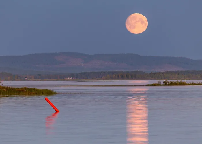 ホテル Mestarin Kievari 3*