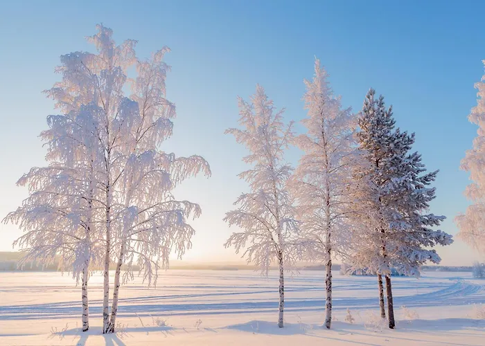 ホテル Mestarin Kievari Kemijärvi