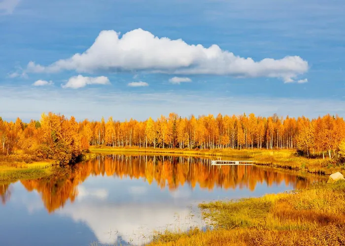 ホテル Mestarin Kievari 3*